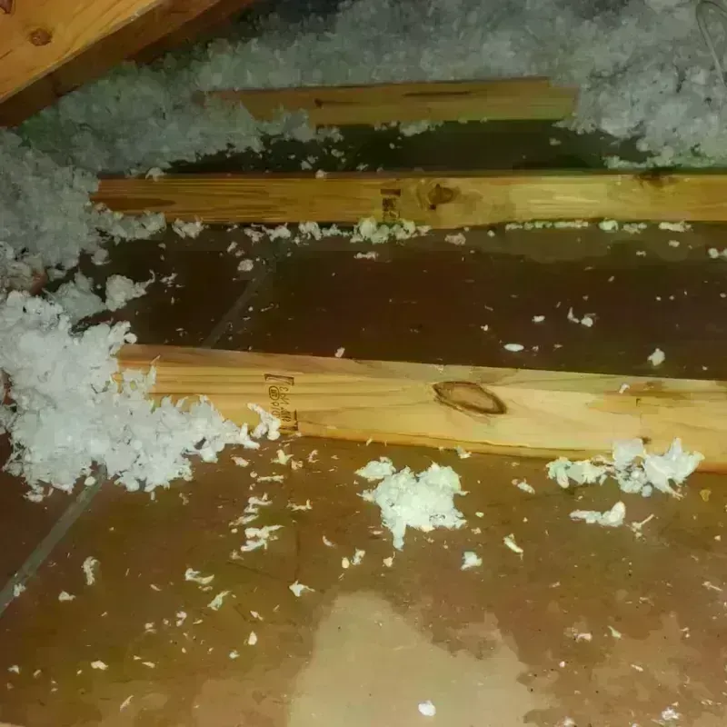 Attic Water Damage in Douglas, WY