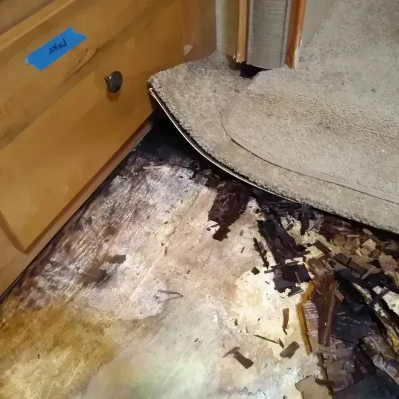 Wood Floor Water Damage in Douglas, WY